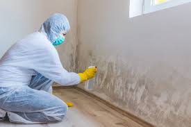 Best Biohazard Mold Removal  in Gunnison, UT