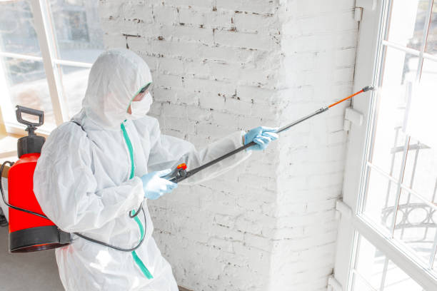 Best Comprehensive Air Testing for Mold Contaminants  in Gunnison, UT